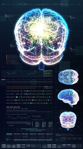 Ilustración partes del cerebro